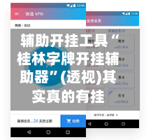 辅助开挂工具“桂林字牌开挂辅助器”(透视)其实真的有挂-第2张图片