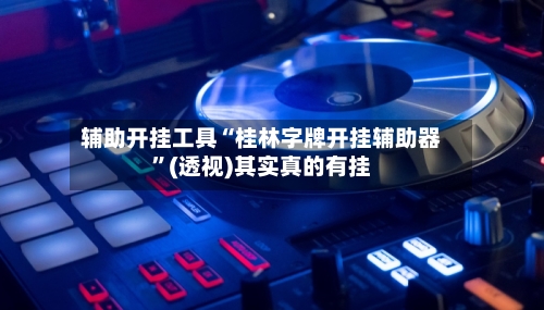 辅助开挂工具“桂林字牌开挂辅助器”(透视)其实真的有挂