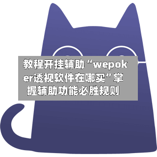 教程开挂辅助“wepoker透视软件在哪买”掌握辅助功能必胜规则-第3张图片