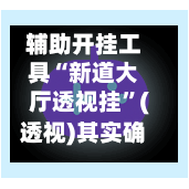 辅助开挂工具“新道大厅透视挂”(透视)其实确实有挂