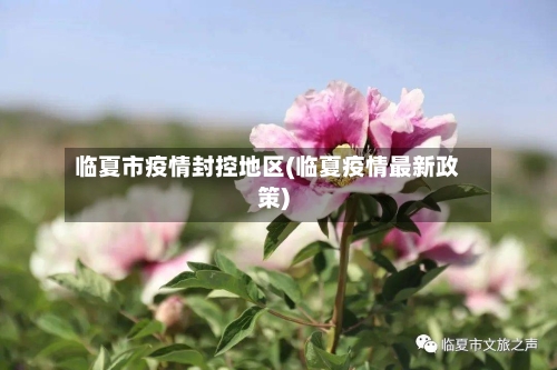 临夏市疫情封控地区(临夏疫情最新政策)