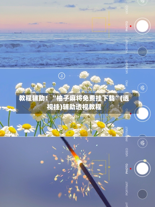 教程辅助！“柚子麻将免费挂下载”(透视挂)辅助透视教程