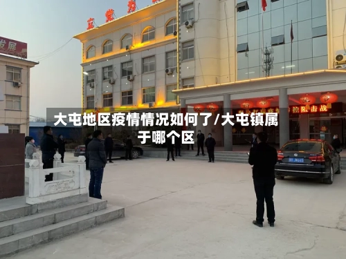 大屯地区疫情情况如何了/大屯镇属于哪个区-第2张图片