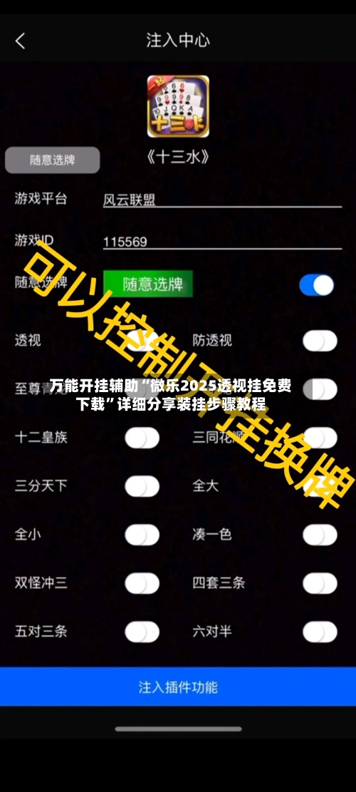 万能开挂辅助“微乐2025透视挂免费下载	”详细分享装挂步骤教程-第2张图片