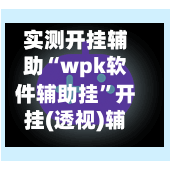 实测开挂辅助“wpk软件辅助挂”开挂(透视)辅助教程-第3张图片