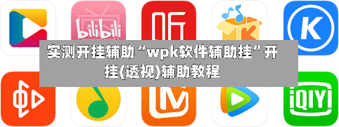 实测开挂辅助“wpk软件辅助挂	”开挂(透视)辅助教程-第2张图片
