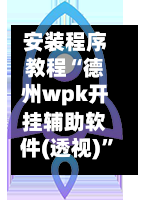 安装程序教程“德州wpk开挂辅助软件(透视)”详细开挂玩法