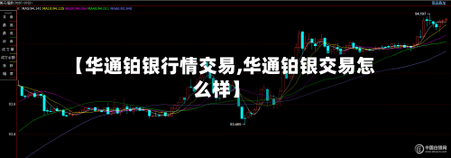 【华通铂银行情交易,华通铂银交易怎么样】