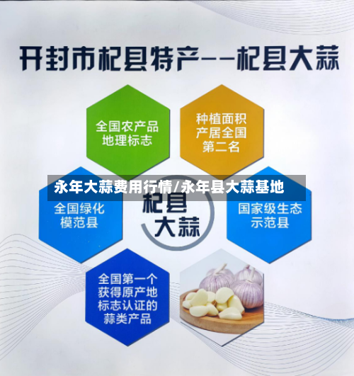 永年大蒜费用行情/永年县大蒜基地