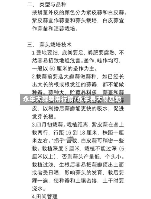 永年大蒜费用行情/永年县大蒜基地-第2张图片