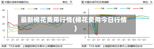最新棉花费用行情(棉花费用今日行情)