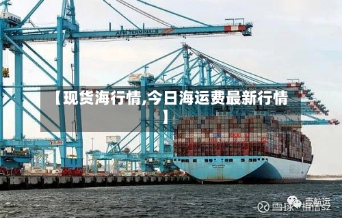 【现货海行情,今日海运费最新行情】