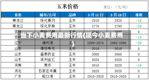 当下小麦费用最新行情(现今小麦费用)-第2张图片