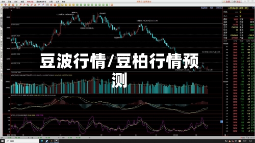 豆波行情/豆柏行情预测-第2张图片