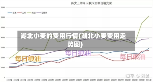 湖北小麦的费用行情(湖北小麦费用走势图)-第2张图片