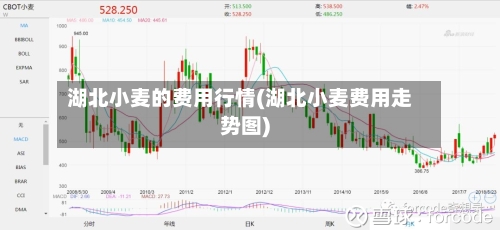 湖北小麦的费用行情(湖北小麦费用走势图)