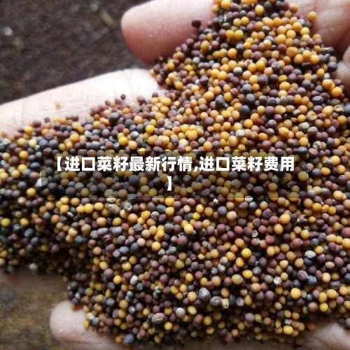 【进口菜籽最新行情,进口菜籽费用】
