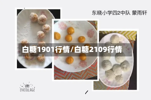 白糖1901行情/白糖2109行情