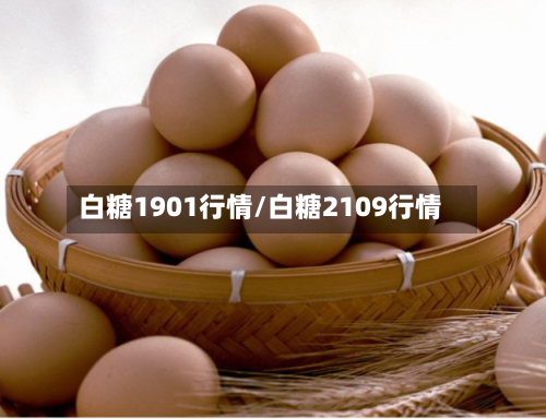 白糖1901行情/白糖2109行情-第3张图片