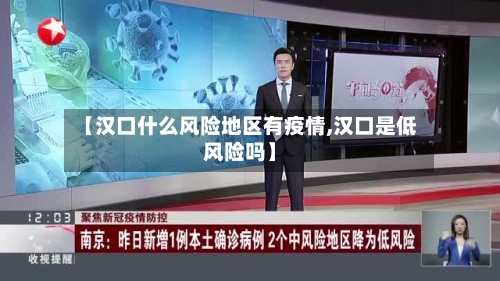 【汉口什么风险地区有疫情,汉口是低风险吗】-第2张图片
