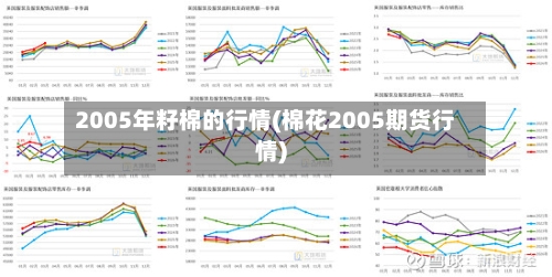 2005年籽棉的行情(棉花2005期货行情)-第2张图片