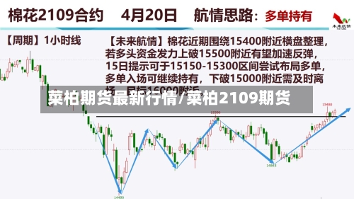 菜柏期货最新行情/菜柏2109期货