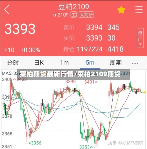 菜柏期货最新行情/菜柏2109期货-第2张图片