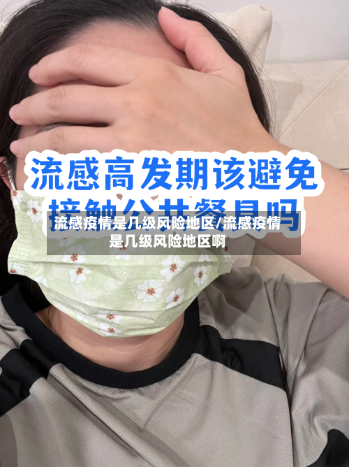 流感疫情是几级风险地区/流感疫情是几级风险地区啊-第2张图片