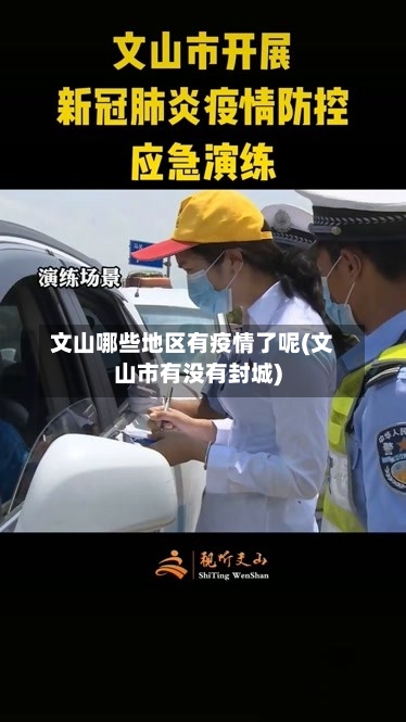 文山哪些地区有疫情了呢(文山市有没有封城)
