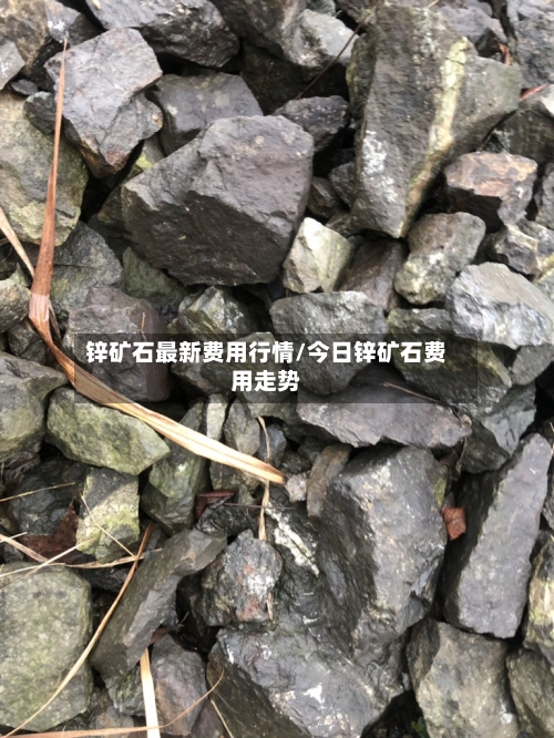 锌矿石最新费用行情/今日锌矿石费用走势-第3张图片
