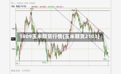 1809玉米期货行情(玉米期货2103)-第2张图片