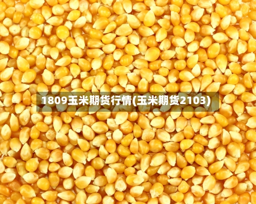 1809玉米期货行情(玉米期货2103)-第3张图片