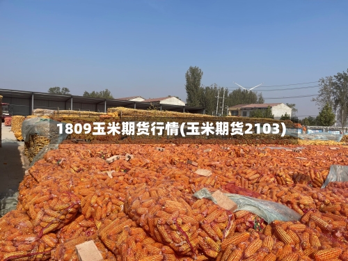 1809玉米期货行情(玉米期货2103)