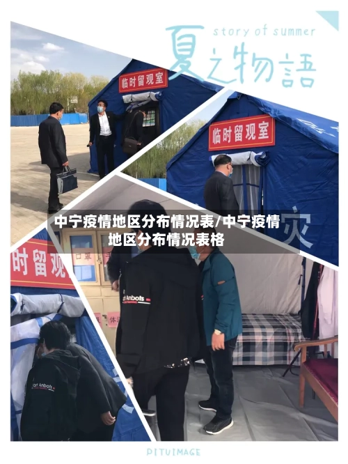 中宁疫情地区分布情况表/中宁疫情地区分布情况表格-第2张图片