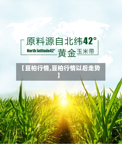 【豆柏行情,豆柏行情以后走势】-第2张图片