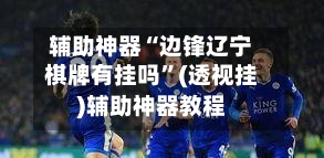 辅助神器“边锋辽宁棋牌有挂吗”(透视挂)辅助神器教程-第3张图片