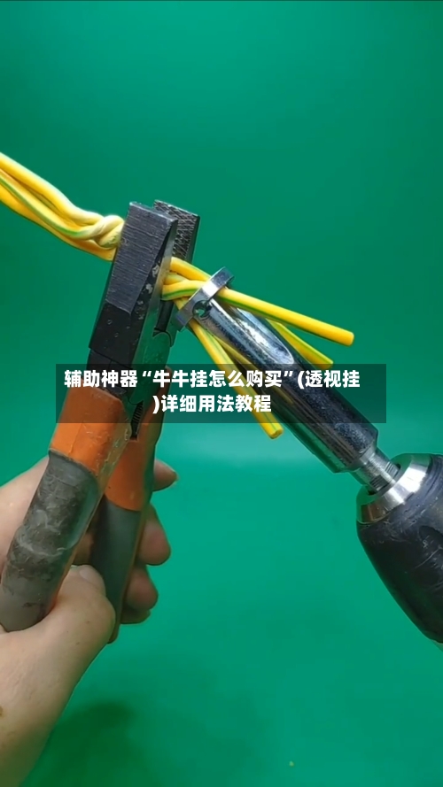 辅助神器“牛牛挂怎么购买”(透视挂)详细用法教程-第2张图片