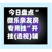 今日盘点“微乐亲友房专用挂”开挂(透视)辅助教程