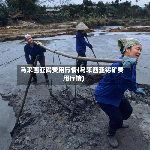 马来西亚锡费用行情(马来西亚锡矿费用行情)-第2张图片