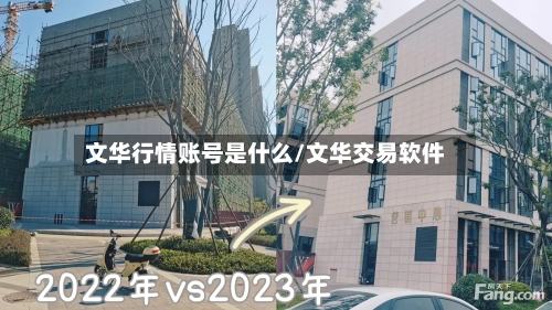 文华行情账号是什么/文华交易软件-第3张图片