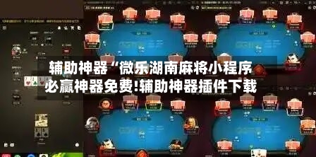 辅助神器“微乐湖南麻将小程序必赢神器免费!辅助神器插件下载-第2张图片