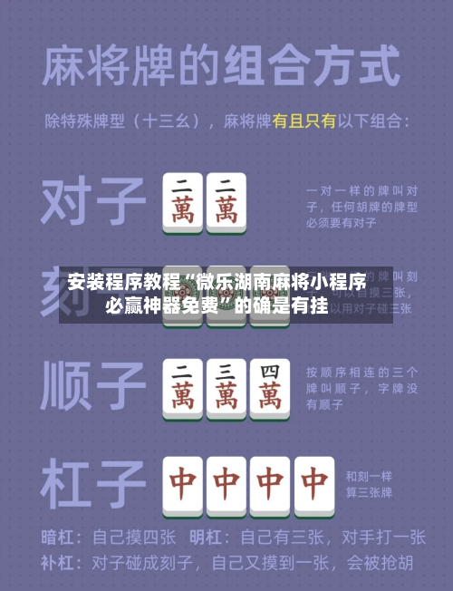 安装程序教程“微乐湖南麻将小程序必赢神器免费”的确是有挂-第3张图片