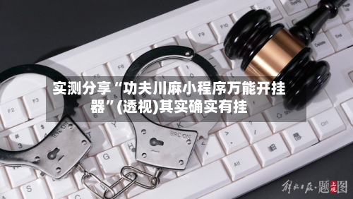 实测分享“功夫川麻小程序万能开挂器”(透视)其实确实有挂-第3张图片