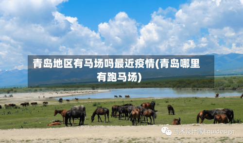 青岛地区有马场吗最近疫情(青岛哪里有跑马场)-第3张图片