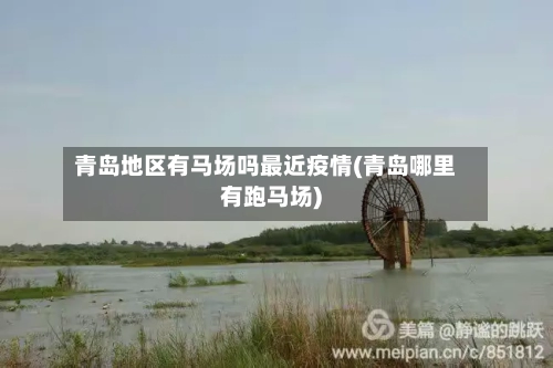 青岛地区有马场吗最近疫情(青岛哪里有跑马场)-第2张图片