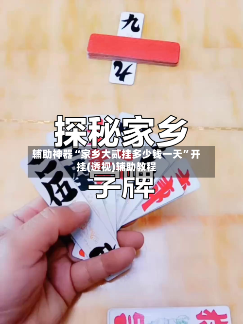 辅助神器“家乡大贰挂多少钱一天”开挂(透视)辅助教程-第2张图片