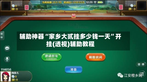 辅助神器“家乡大贰挂多少钱一天”开挂(透视)辅助教程