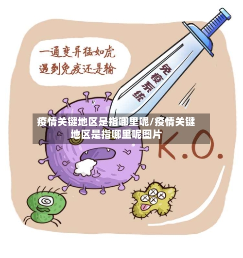 疫情关键地区是指哪里呢/疫情关键地区是指哪里呢图片-第2张图片