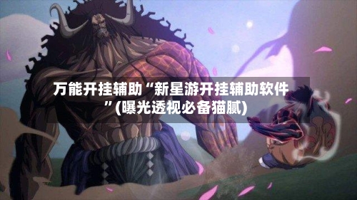 万能开挂辅助“新星游开挂辅助软件”(曝光透视必备猫腻)-第3张图片