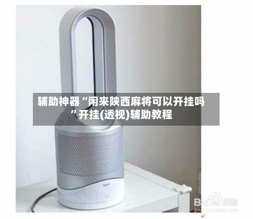 辅助神器“闲来陕西麻将可以开挂吗”开挂(透视)辅助教程-第3张图片